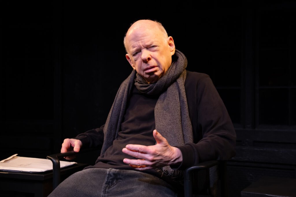Wallace Shawn'ın "Moth Days"i: Modern İnsanın Vicdan Muhasebesi