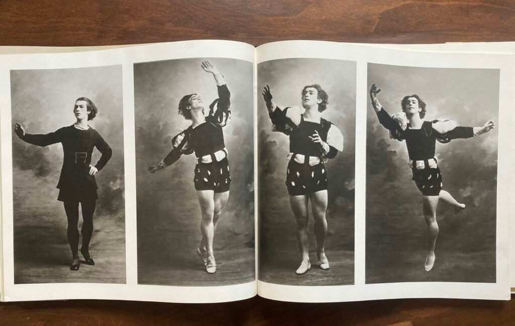 Bir Şiirin Doğuşu: Hannah Piette ve Nijinsky