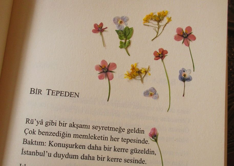 Cemal Süreya İkinci Yeni Şiirinin Öncüsü