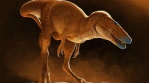 Ejder Prens: T. Rex’in Yeni Keşfedilen Akrabası