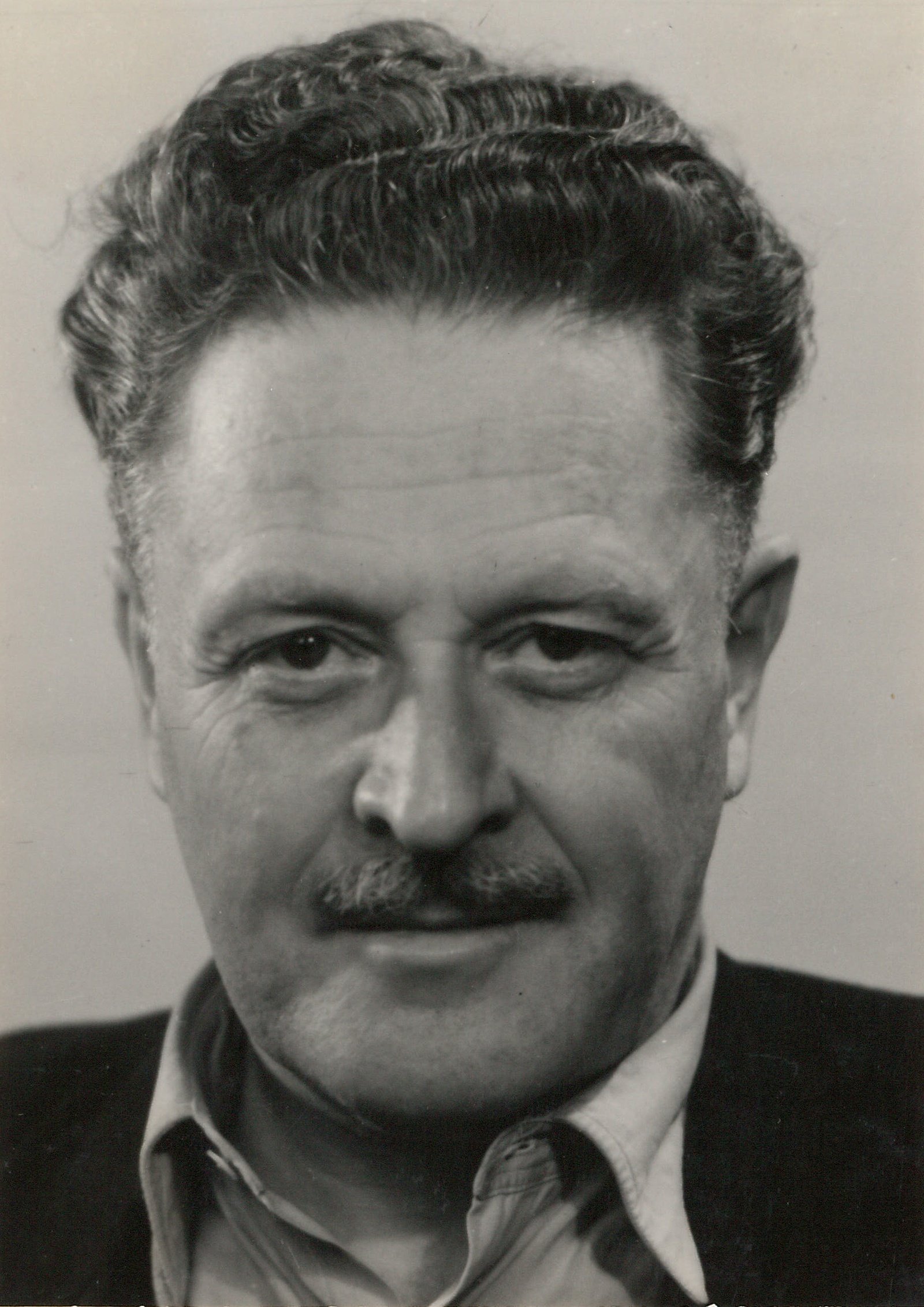 Nazım Hikmet Şiirinde Toplumsal Gerçekçilik