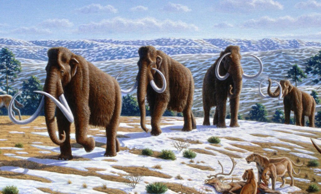 Geç Pleistosen dönemi manzarasında yünlü mamutlar